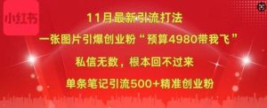 小红书11月最新图片打粉,一张图片引爆创业粉,“预算4980带我飞”,单条引流500+精准创业粉-88共享