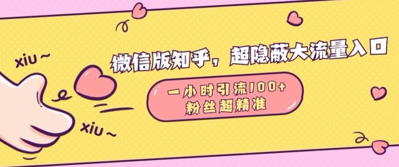 微信版知乎，超隐蔽流量入口1小时引流100人，粉丝质量超高【揭秘】-88共享