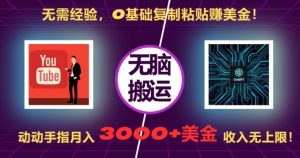 无需经验，0基础复制粘贴赚美刀，动动手指，月入3000+刀，无上限【揭秘】-88共享