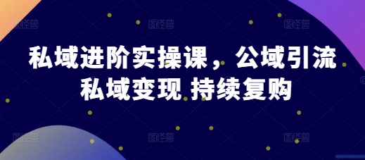 私域进阶实操课，公域引流 私域变现 持续复购-88共享