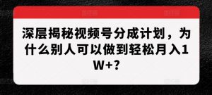 深层揭秘视频号分成计划,为什么别人可以做到轻松月入1W+?-88共享