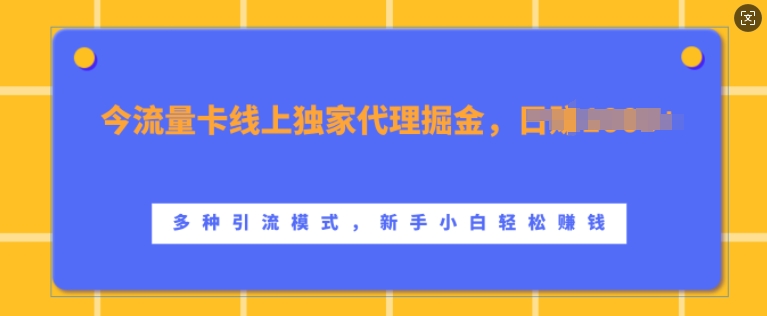 流量卡线上独家代理掘金，日入1k+ ，多种引流模式，新手小白轻松上手【揭秘】-88共享