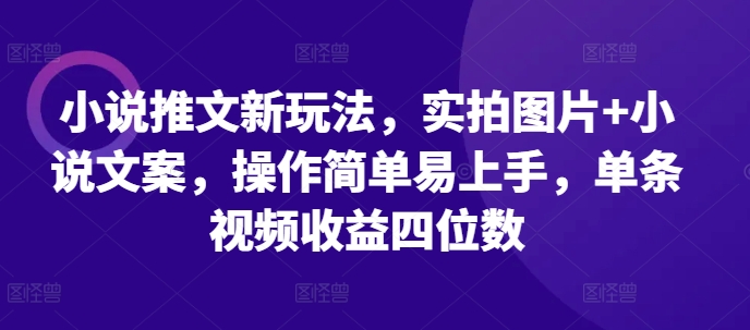 小说推文新玩法，实拍图片+小说文案，操作简单易上手，单条视频收益四位数-88共享
