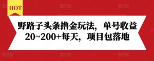 野路子头条撸金玩法,单号收益20~200+每天,项目包落地-88共享