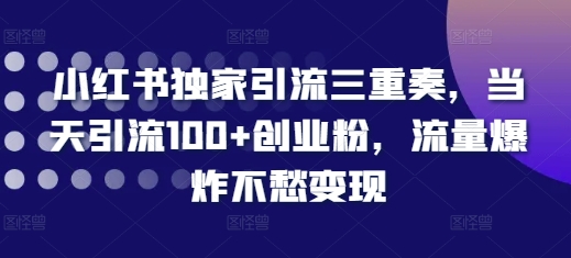 小红书独家引流三重奏，当天引流100+创业粉，流量爆炸不愁变现【揭秘】-88共享