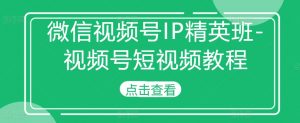 微信视频号IP精英班-视频号短视频教程-88共享
