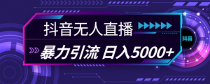 抖音快手视频号全平台通用无人直播引流法,利用图片模板和语音话术,暴力日引流100+创业粉【揭秘】-88共享