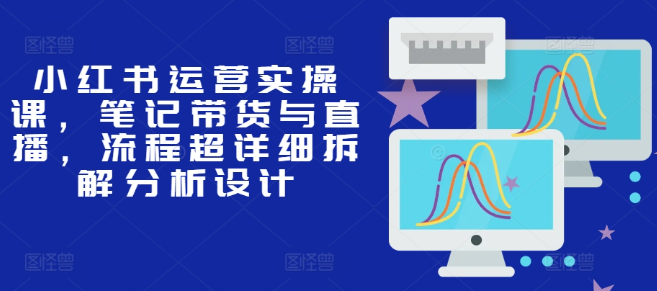 小红书运营实操课，笔记带货与直播，流程超详细拆解分析设计-88共享