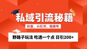 私域流量的精准化获客方法 野路子玩法 吃透一个点 日引200+ 【揭秘】-88共享