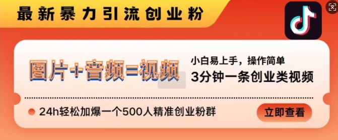 抖音最新暴力引流创业粉，3分钟一条创业类视频，24h轻松加爆一个500人精准创业粉群【揭秘】-88共享