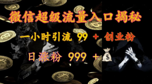 微信超级流量入口揭秘:一小时引流 99 + 创业粉,日涨粉 999 +-88共享