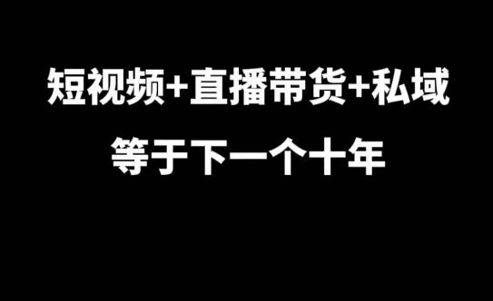短视频+直播带货+私域等于下一个十年，大佬7年实战经验总结-88共享