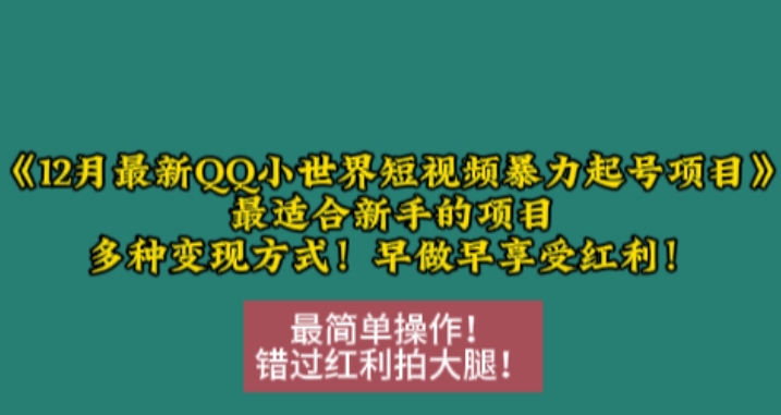 12月最新QQ小世界短视频暴力起号项目，最适合新手的项目，多种变现方式-88共享