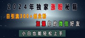 2024年独家涨粉秘籍，日引流300+创业粉，加爆你的微信好友，小白也能轻松上手-88共享