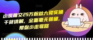 小说推文25万粉丝大佬实操干货讲解，全面毫无保留，帮你少走弯路-88共享