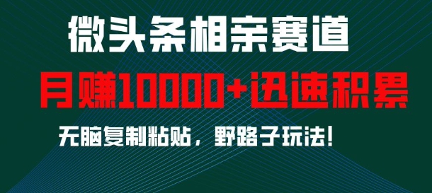 微头条相亲赛道，迅速积累，无脑复制粘贴，野路子玩法，月入1w-88共享