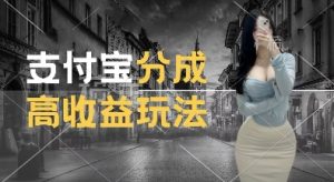 支付宝分成计划新玩法，利用交通事故视频，赚收益，轻松月入过W，操作简单【揭秘】-88共享