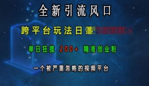 全新引流风口,跨平台玩法日入上k,单日狂揽200+精准创业粉,一个被严重忽略的视频平台-88共享