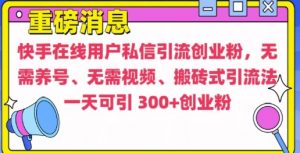 快手最新引流创业粉方法,无需养号、无需视频、搬砖式引流法【揭秘】-88共享