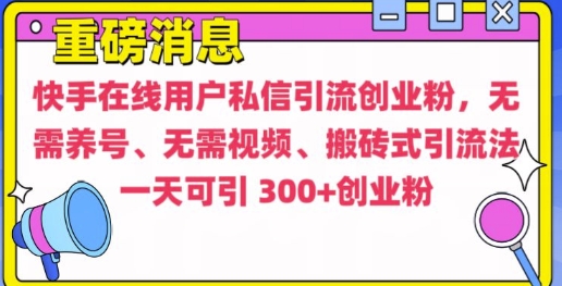 快手最新引流创业粉方法，无需养号、无需视频、搬砖式引流法【揭秘】-88共享
