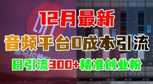 12月最新:音频平台0成本引流,日引流300+精准创业粉-88共享