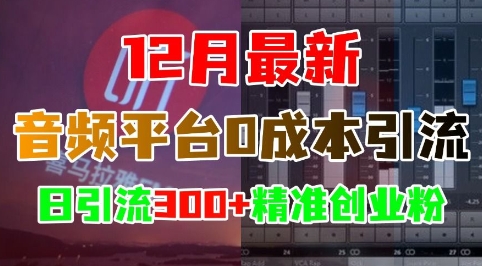 12月最新：音频平台0成本引流，日引流300+精准创业粉-88共享