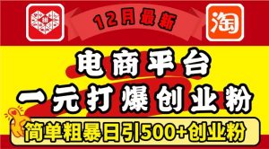 12月最新：电商平台1元打爆创业粉，简单粗暴日引500+精准创业粉，轻松月入过W【揭秘】-88共享