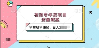 视频号年货项目，流量贼猛，早布局早挣钱，日入上k【揭秘】-88共享