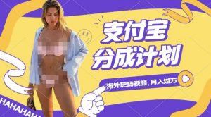 利用海外靶场射击视频,挣支付宝分成收益,轻松月入过W【揭秘】-88共享