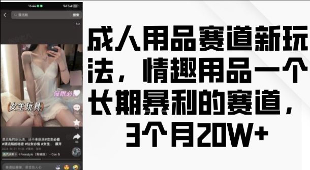 成人用品赛道新玩法，情趣用品一个长期暴利的赛道，3个月收益20个【揭秘】-88共享