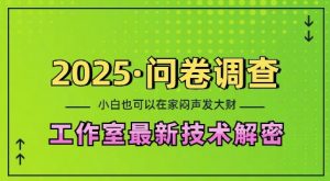 2025问卷调查最新工作室技术解密:一个人在家也可以闷声发大财,小白一天2张,可矩阵放大【揭秘】-88共享