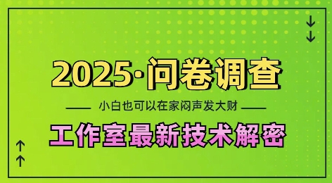 2025问卷调查最新工作室技术解密：一个人在家也可以闷声发大财，小白一天2张，可矩阵放大【揭秘】-88共享