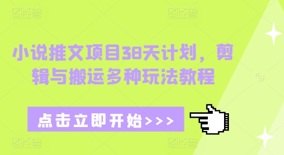 小说推文项目38天计划，剪辑与搬运多种玩法教程-88共享