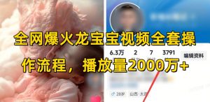 全网爆火龙宝宝视频全套操作流程,播放量2000万+-88共享