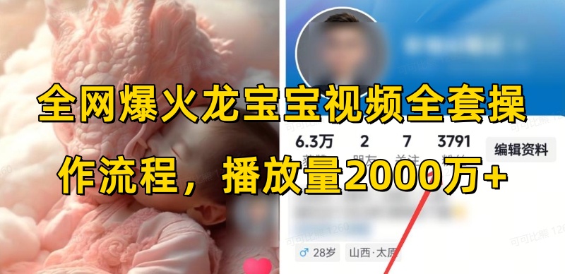 全网爆火龙宝宝视频全套操作流程，播放量2000万+-88共享
