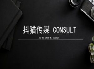 抖猫学院小红书聚光详细操作流程实操-88共享