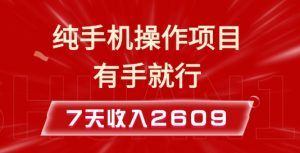 纯手机操作的小项目,有手就能做,7天收入2609+实操教程【揭秘】-88共享