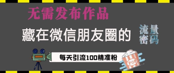 藏在微信朋友圈的流量密码，无需发布作品，单日引流100+精准创业粉【揭秘】-88共享