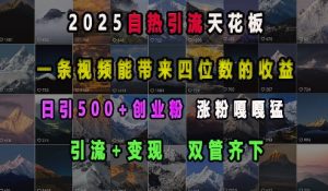 2025自热引流天花板,一条视频能带来四位数的收益,引流+变现双管齐下,日引500+创业粉,涨粉嘎嘎猛-88共享