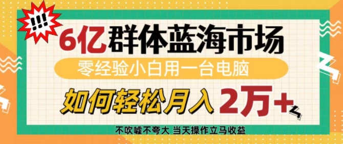 6亿群体蓝海市场，零经验小白用一台电脑，如何轻松月入过w【揭秘】-88共享