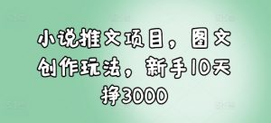 小说推文项目，图文创作玩法，新手10天挣3000-88共享
