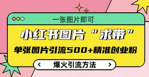 小红书图片‘求带’爆火引流法，单张图片引流500+精准创业粉【揭秘】-88共享