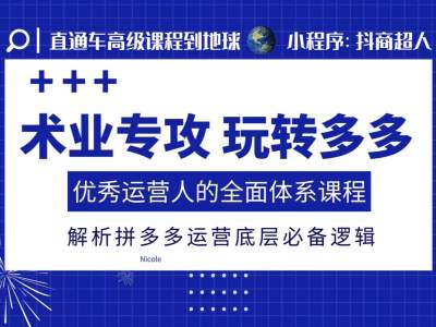 术业专攻玩转多多，优秀运营人的全面体系课程，解析拼多多运营底层必备逻辑-88共享