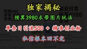 预算3980求带 图片玩法，单条日引流500+精准创业粉，私信根本回不完-88共享