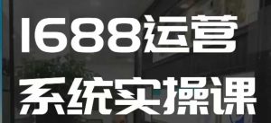 1688高阶运营系统实操课，快速掌握1688店铺运营的核心玩法-88共享