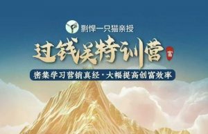 剽悍一只猫-过钱关特训营，学习营销真经 大幅度提高创富效率-88共享