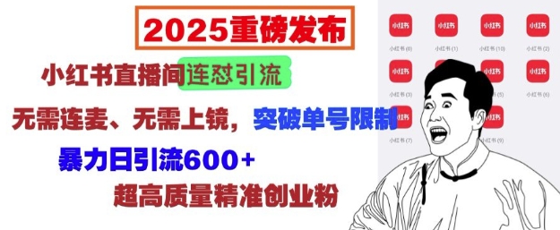 2025重磅发布：小红书直播间连怼引流，无需连麦、无需上镜，突破单号限制，暴力日引流600+-88共享