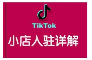 TikTok跨境小店运营全攻略,帮助你独立运营TK跨境小店的能力,实现销量增长-88共享