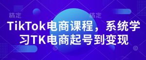 TikTok电商课程,系统学习TK电商起号到变现-88共享