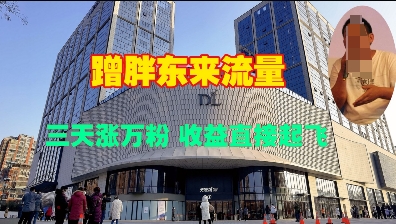 蹭胖东来流量，三天涨万粉，收益直接起飞-88共享